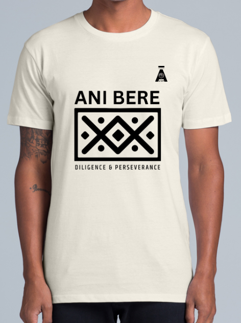 Adinkra African Symbols T-Shirts