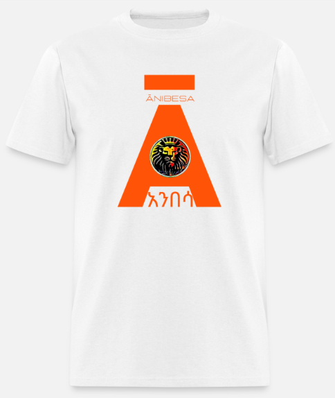 Short Sleeve Orange Anibesa Logo T-Shirt