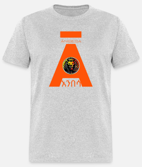 Short Sleeve Orange Anibesa Logo T-Shirt