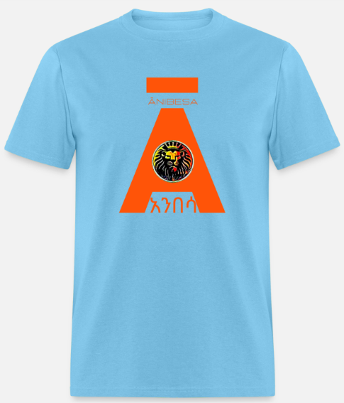 Short Sleeve Orange Anibesa Logo T-Shirt