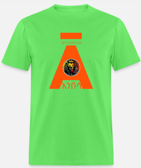 Short Sleeve Orange Anibesa Logo T-Shirt