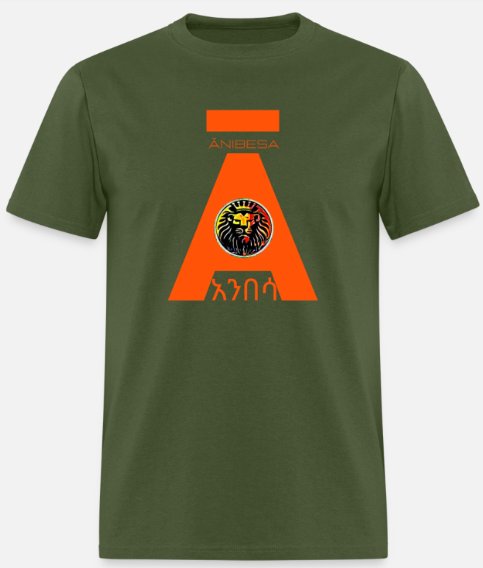 Short Sleeve Orange Anibesa Logo T-Shirt