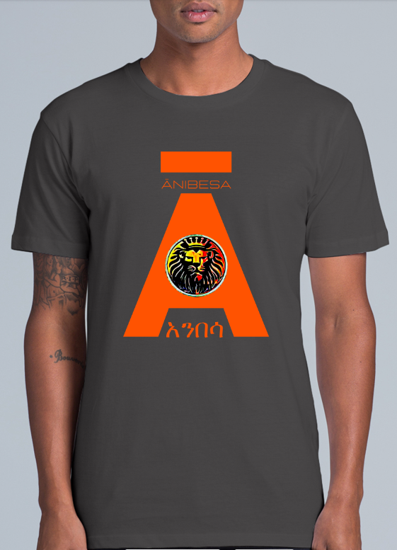 Short Sleeve Orange Anibesa Logo T-Shirt