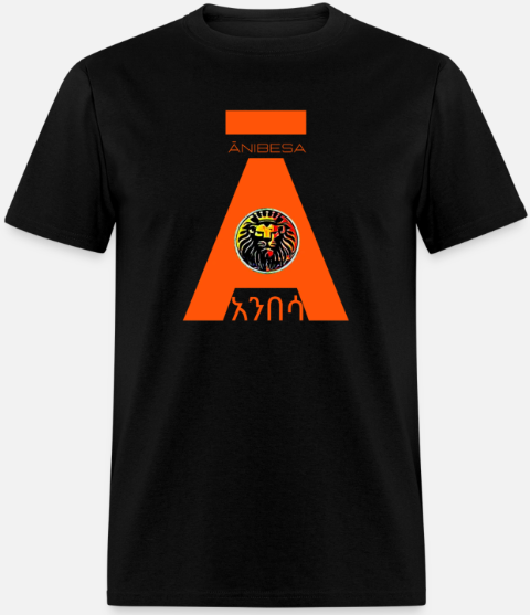 Short Sleeve Orange Anibesa Logo T-Shirt