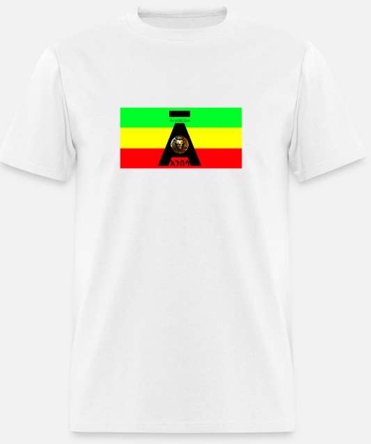 Short Sleeve Anibesa Logo On Flag T-Shirt