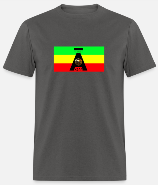 Short Sleeve Anibesa Logo On Flag T-Shirt