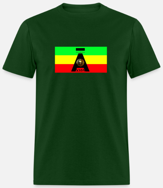 Short Sleeve Anibesa Logo On Flag T-Shirt