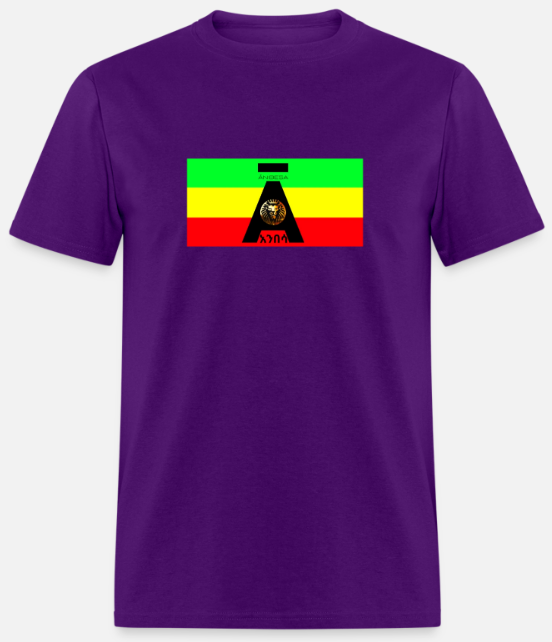 Short Sleeve Anibesa Logo On Flag T-Shirt