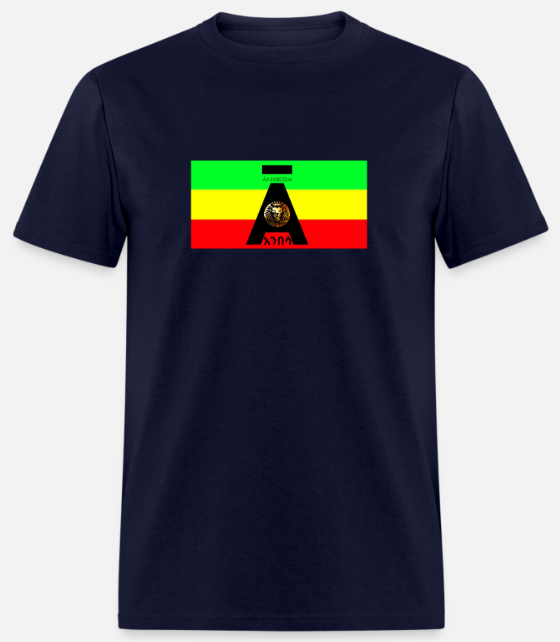 Short Sleeve Anibesa Logo On Flag T-Shirt