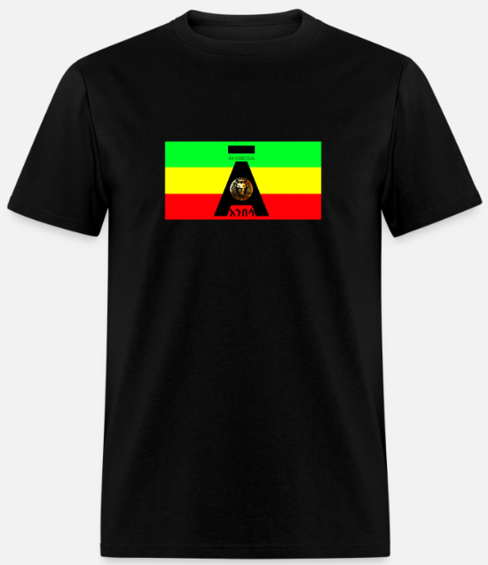 Short Sleeve Anibesa Logo On Flag T-Shirt