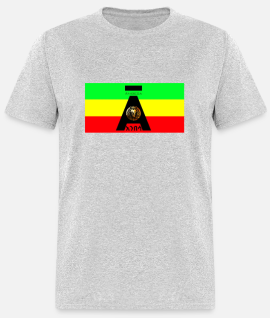 Short Sleeve Anibesa Logo On Flag T-Shirt