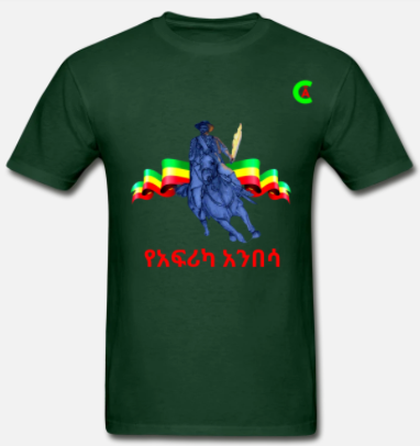 Short Sleeve African Anibesa T-Shirt