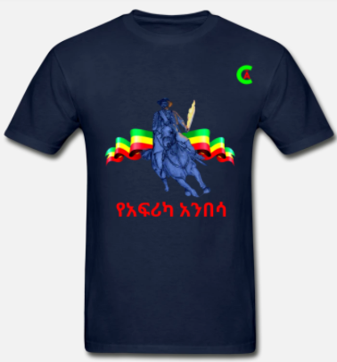 Short Sleeve African Anibesa T-Shirt