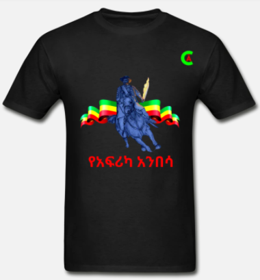 Short Sleeve African Anibesa T-Shirt